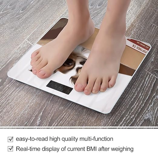 Papillon in The Box Bathroom ScaleHighly Accurate Digital Weighing Machine for People Bright LED Display Weight Scale for The Aldult Home Use