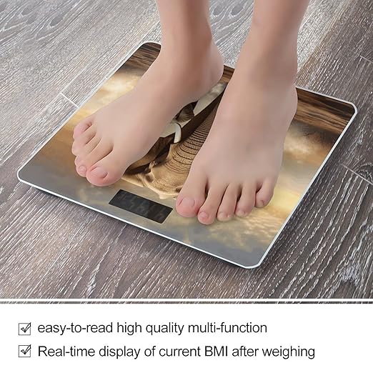 Elephant and Baby Elephant Bathroom Scale for Body Weight Bathroom Digital Electronic Weighing Scale with Back Lit LED Display Sturdy Tempered Glass Weight Watchers Scales 400lb