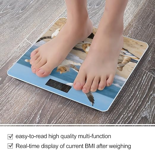 Beach Cat Fun Weight ScaleClear LED Display Bathroom Digital Weighing ScaleTempered Glass Digital Bathroom Scale for Body Weight Capacity Up to 400 Lbs