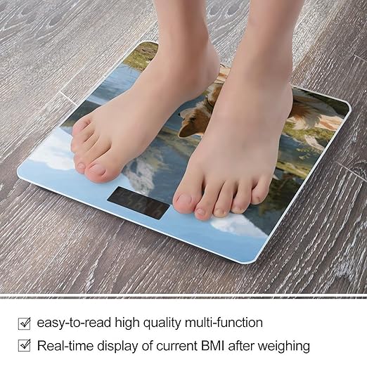 Camping Journal Weight ScaleClear LED Display Bathroom Digital Weighing ScaleTempered Glass Digital Bathroom Scale for Body Weight Capacity Up to 400 Lbs