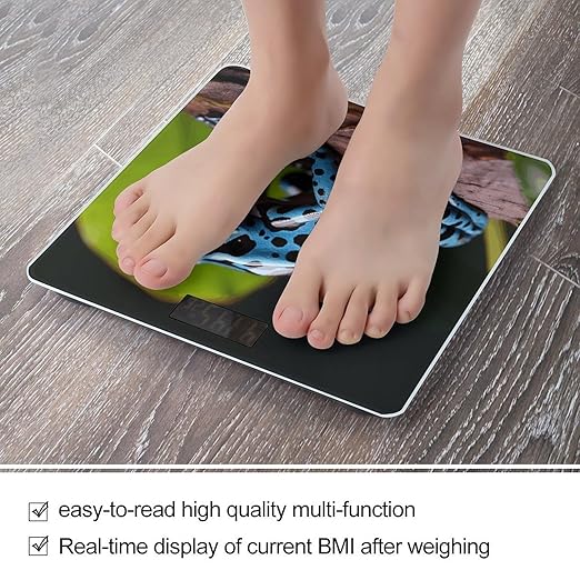 Dart Frog Blue Bathroom Scale Large LCD Backlight Display Digital Scale Rounded Corners Body Scales Automatic Power On/Off Bathroom Scales for Home Bedrooms