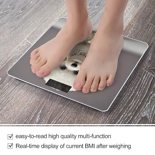 Poodle Scale for Body Weight Digital Bathroom Scale Toughened Glass High Precision Scales for Body Weight with Large LCD Backlight Display Weight Scales