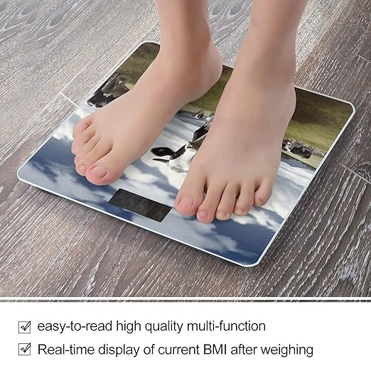 Farm Cow Pictures Scale for Body Weight High Precision Digital Weight Scales with LCD Display Anti-Slip Sturdy Slim Tempered Glass Bathroom Scale for Home Use