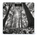 The Oak Tree Weight Scale Large Bathroom Scales Digital Weight with Bright LED Display Non Slip Automatic Weighing Scale Fashion Weighing Machine for Body