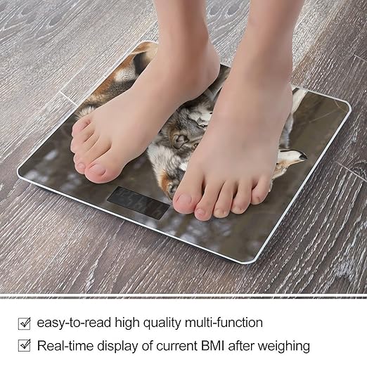 Different Colored Wolves Scale for Body Weight Sturdy Tempered Glass Weighing Scales with LCD Display Accurate Digital Bathroom Scale Convenient Body Fat Smart Scales 400lb