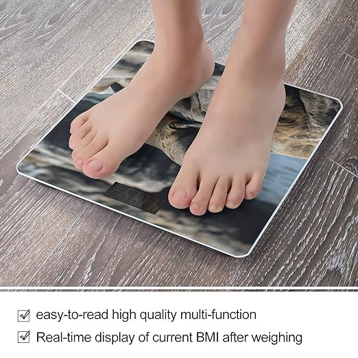 Brown Seal on The Rock Scale for Body Weight Digital Bathroom Scale Accurate Smart Weight Scales with Large Display Weighing Machine High Precision Scales