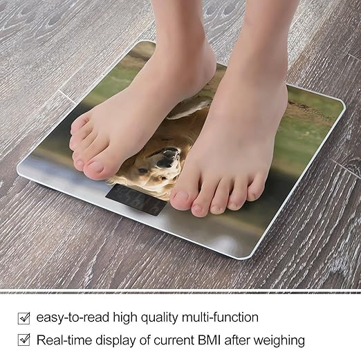 Golden Retriever Running Scale for Body Weight Accurate Digital Bathroom Scale Toughened Glass High Precision Scales Smart Weight Scales with Large LCD Backlight Display Weighing Machine
