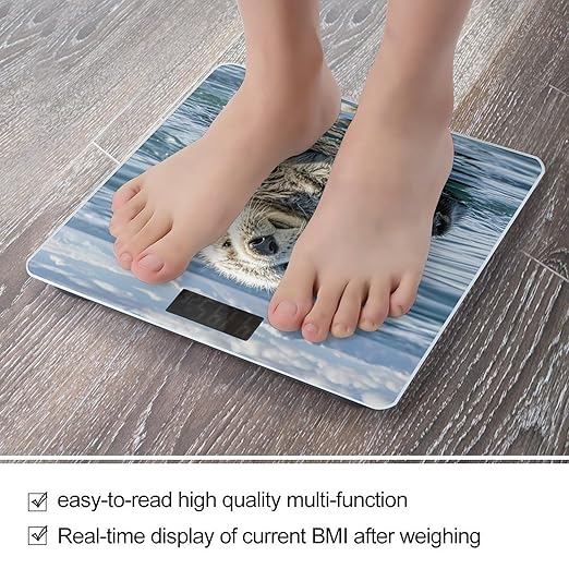 Sea Otter Smart Scale for Body Weight Accurate Bathroom Scale with LED Display Digital Weight Scales Weighing Machine High Precision Scales for Bath Home