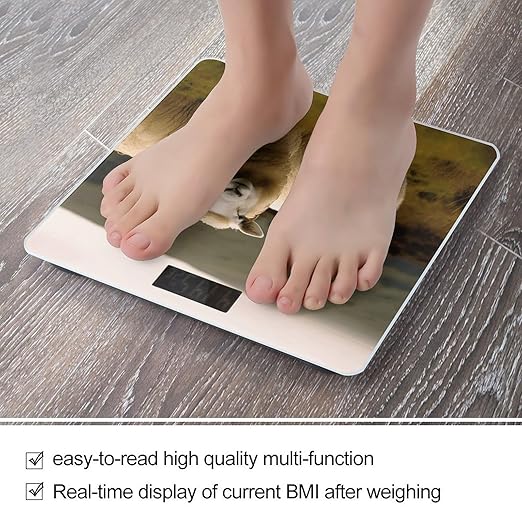 Two White Sheep Bathroom Scale Large LCD Backlight Display Digital Scale Rounded Corners Body Scales Automatic Power On/Off Bathroom Scales for Home Bedrooms