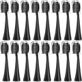 Compatible for Seago SG-540 Replacement Toothbrush HeadsCleaning Deep Tooth Gaps Suitable for(16BLACK)