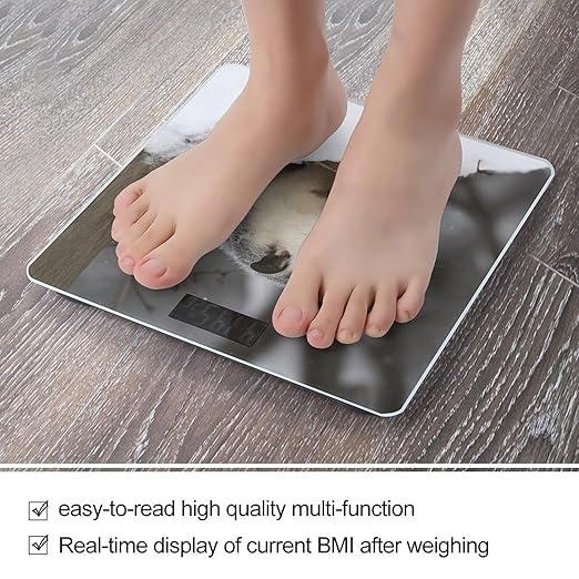 Opossum in SnowScale for Body Weight with LCD High Precision Weighing Scales Fashion Sturdy Tempered Glass Weight Scales Easy-to-Read Digital Bathroom Scale for Daily 400lb