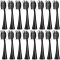 Replacement Toothbrush HeadsCompatible for Seago S9 S1 S6 S8 S21 S26 S28 SG540 SG860 SG861 SG986 SG987 SG988(16pcs Black)
