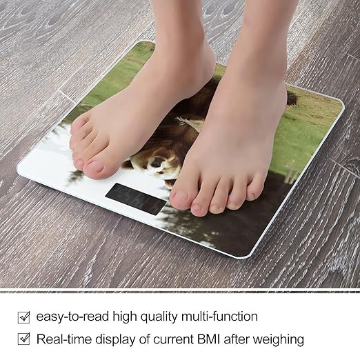 Hi Bear Sit on The Lawn Scale for Body Weight Sturdy Tempered Glass Weighing Scales with LCD Display Accurate Digital Bathroom Scale Convenient Body Fat Smart Scales 400lb