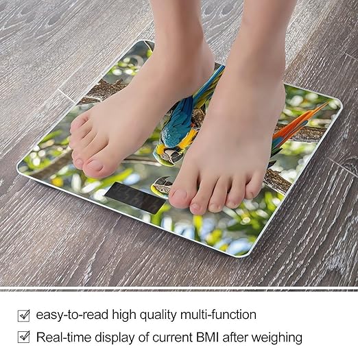 Colorful Parrots On Tree Scale for Body Weight Digital Bathroom Scale Toughened Glass High Precision Scales for Body Weight with Large LCD Backlight Display Weight Scales