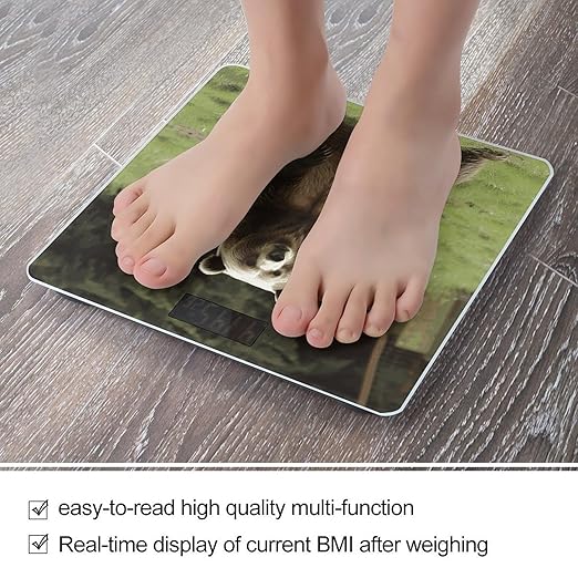Hi Bear Sit on The Lawn Bathroom Scale Ultra-Bright Liquid Crystal Screen Weight Scale Accurate Bathroom Body Scales for Body Weight Bathroom Pet Home Bedroom Gift-Giving