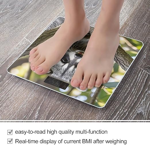 Raccoon Scale for Body Weight Highly Accurate Digital Bathroom Body Scale Digital Bathroom Scales for People Anti-Slip Large LCD Display Smart Scales