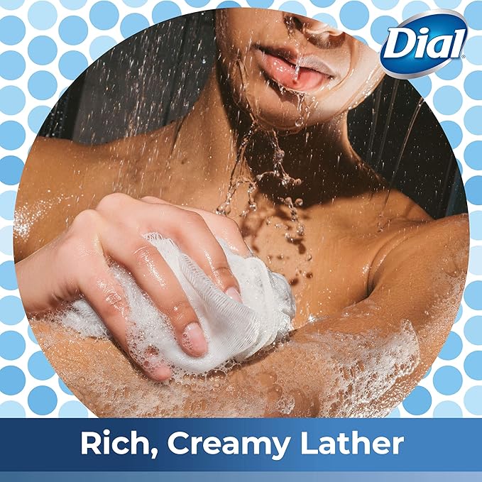 Dial Body Wash Mountain Fresh 16 Fl Oz (Pack of 6)
