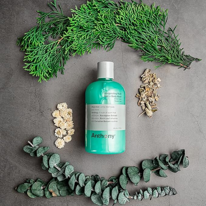 Anthony Mens Body Wash and Shampoo: Invigorating Rush 2-In-1 Liquid Gel Soap &amp Hair Shampoo Pine Wood Scent Hydrating with Eucalyptus Canadian Balsam Birch Leaf Charcoal Sea Kelp 12 Fl. Oz
