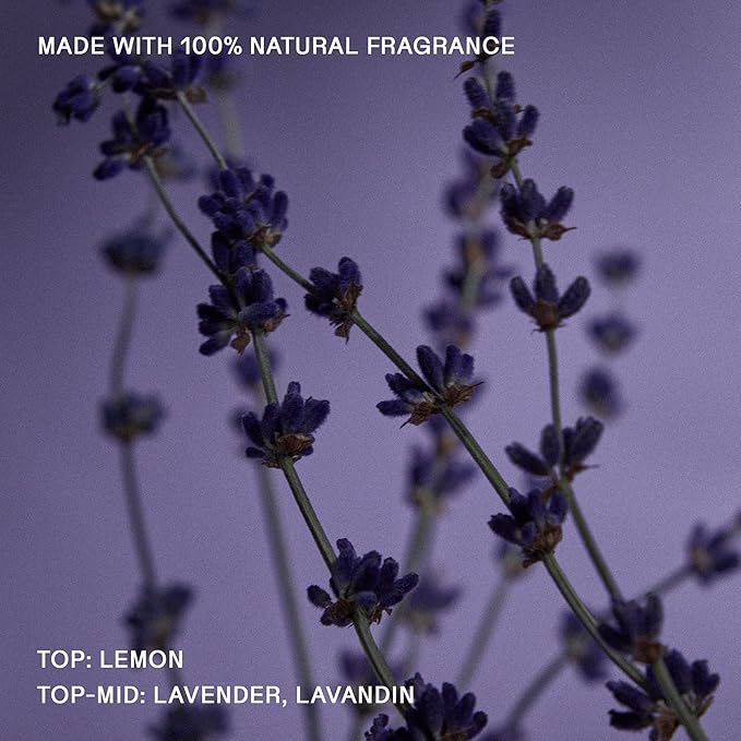 Each &amp Every Body Wash for Women and Men - Skin Feels Hydrated Smooth &amp Soft - Ceramides Lactic Acid AHA &amp Moringa Oil - 100% Natural Fragrance Gel - Sunday Morning Lavender &amp Lemon