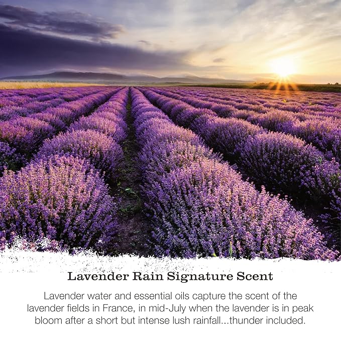 Tweak’d by Nature - Lavender Rain Body Wash Sulfate Free Natural Hydrating and Moisturizing Gentle Lavender Shower Gel and Body Wash for Women (2 Pack)